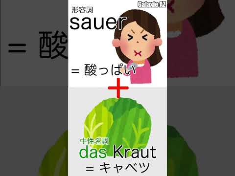 🇩🇪ドイツ語雑学：「酸っぱいキャベツ」って何？ #shorts #ドイツ語