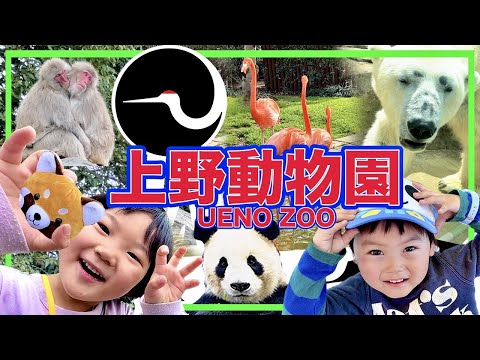 UENO ZOO PARK🐼 Free admission! ? The most fun 🐯 [vol.193] Tokyo Amusement Park / Tokyo Theme Park