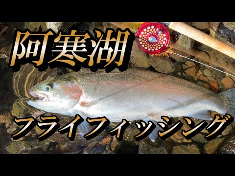 フライ編【阿寒湖】大物を求めてbig trout fishing