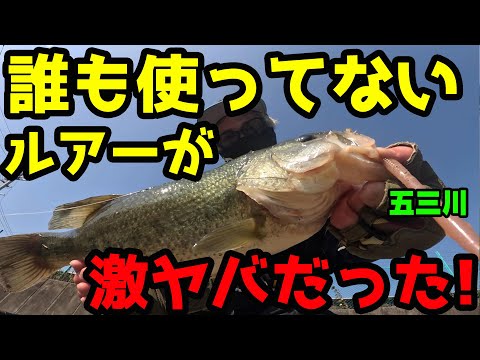 信じられない！！誰も使ってないルアーを使ってみたらデカバスが釣れる激ヤバルアーだった！【バス釣り】【シャーベットヘアーチャンネル】【五三川】