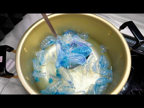 Let’s make soup with DEADLY ELECTRIC JELLYFISH!【ENG SUB】