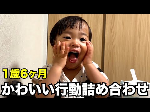 1歳半のかわいい行動詰め合わせました【1歳6ヶ月】