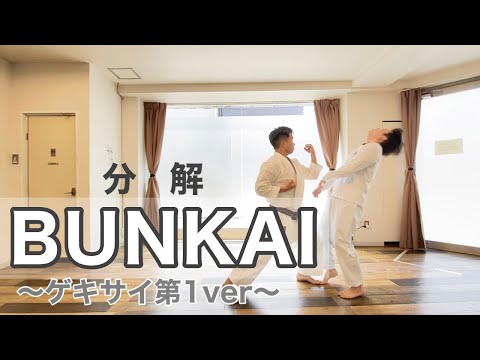 【形 分解】完全版 撃砕の分解（GEKISAINOBUNKAI）#karate #kata#空手