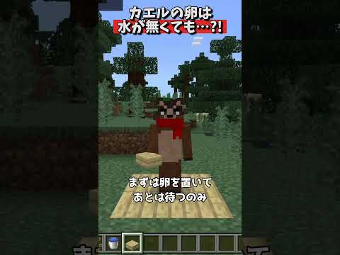 オタマジャクシが羽化出来るのか？ #shorts #マイクラ #マイクラ豆知識 # #マイクラウラ技 #マイクラ統合版