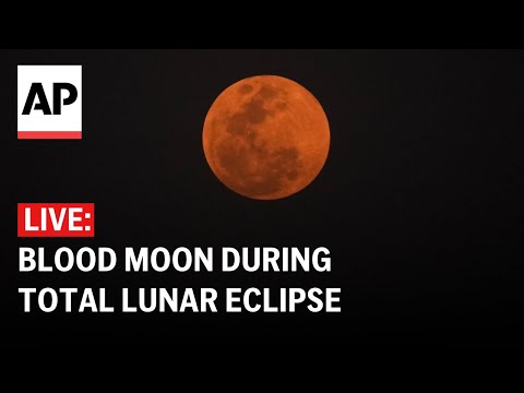 Blood moon 2025: LIVE view of the total lunar eclipse