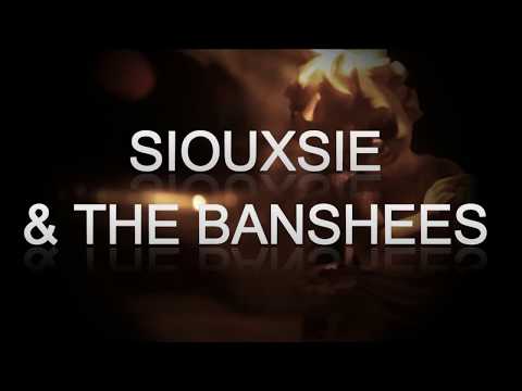 Siouxsie and The Banshees - Into The Light (Live-Lyrics)