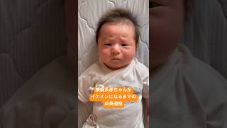 力士系赤ちゃんがイケメンに育つまでの成長過程🤣 #育児 #赤ちゃんのいる生活 #子育て #新生児 #成長記録 #男の子