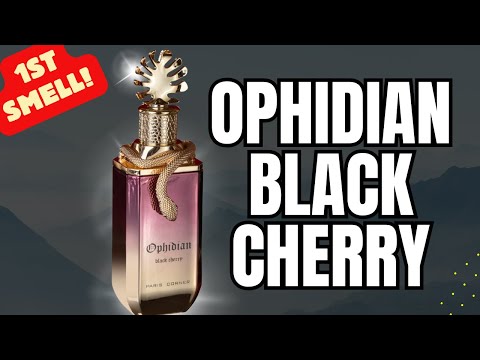 Ophidian Black Cherry 1st Smell! Paris Corner