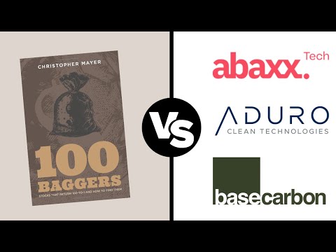 100 Bagger Principles vs My Portfolio