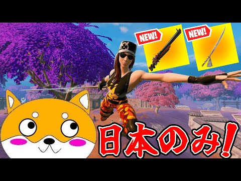 日本の武器だけでビクロイを目指せ！【Fortnite/フォートナイト】