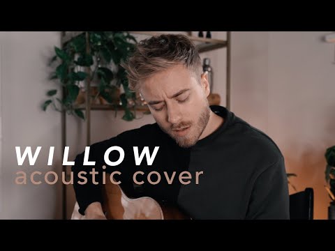 willow - Taylor Swift (Acoustic Cover by Jonah Baker)