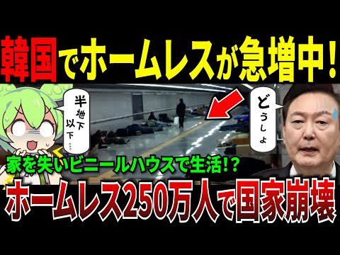 韓国の街にホームレス急増中！反日運動の結果就職難...韓国貧困事情とは【ずんだもん＆ゆっくり解説】