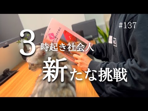 【愛猫講座スタート #137】３時起き社会人の筋トレと勉強の記録【朝活】