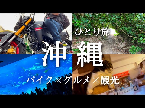 【沖縄でも３時起き】やりたいこと全部やるバイクひとり旅【沖縄 vlog】