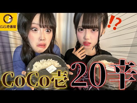 【激辛】中１双子がCoCo壱２０辛に挑戦🔥【あいみお】