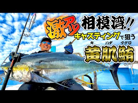 【マグロ釣り】入門するなら激熱相模湾のキハダキャスティング！！！