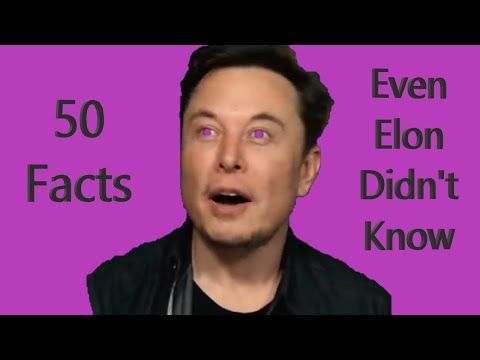 50 facts *I made up* about Elon Musk