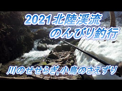 【渓流イワナ釣り】川のせせらぎ,小鳥のさえずりを聞きながら、のんびり釣行。