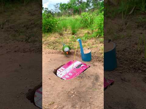 DIY Creative - Create Simple Bird Trap #DIY_Creative #Shorts