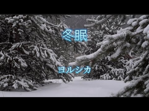 冬眠　ヨルシカ（歌詞付き）