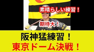 阪神タイガース東京ドーム練習！木浪、佐藤輝明、森下翔太の守備に注目！カブス戦・ドジャース戦へ向け調整