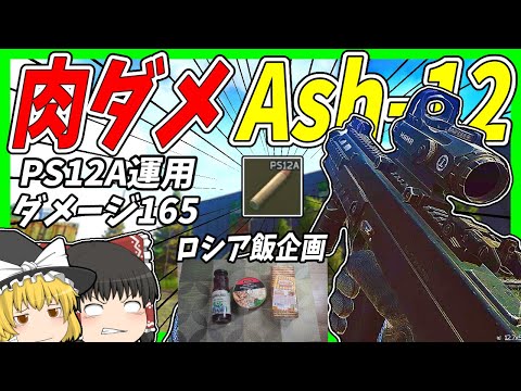 【EFT・ロシア飯】#165 ダメージ165の化け物弾PS12A運用！肉ダメAsh-12運用に未来はあるのか？【タルコフゆっくり実況】