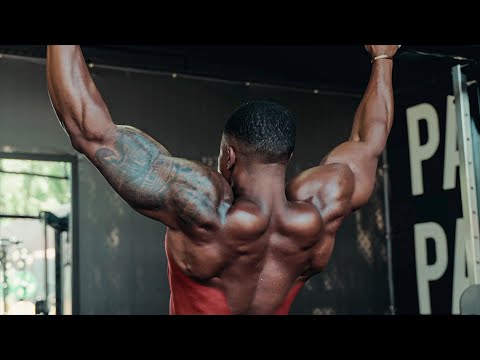 How to Build a V-Taper - Full Breakdown (Back Routine)