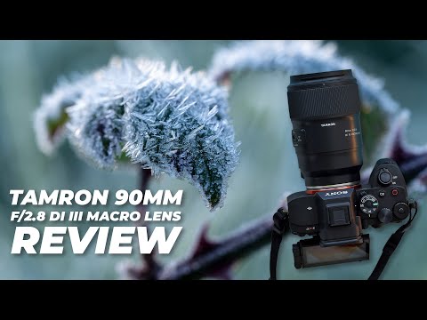 Tamron 90mm f/2.8 Di III VXD Macro Lens Review | BEST Macro Lens at This Price?