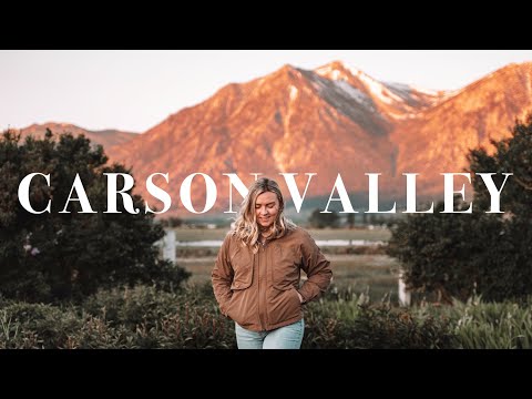 My Solo Trip to Carson Valley, Nevada | Wild Horses + Mountain Flying