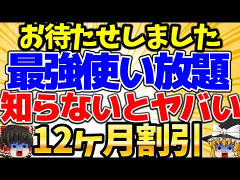 【データ使い放題〇〇円】最強活用術！12ヶ月割引でお得にMNPしませんか？！初期費用も無料【格安SIMチャンネル】