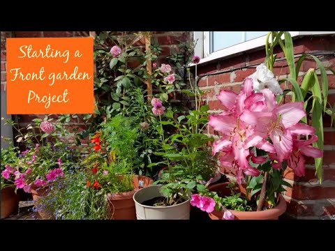 Living in a Concrete Jungle ~ Why I'm Starting a Front Garden Flower Project 🌸