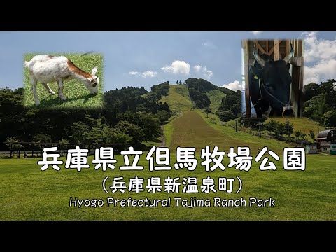 【 ４K 動画　兵庫県立但馬牧場公園におでかけ（兵庫県新温泉町） 】夏場のスキー場から但馬牛博物館、動物ふれあい広場、大動物舎を楽しむ。2022年7月撮影