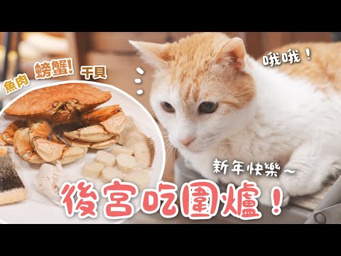 【黃阿瑪的後宮生活】後宮吃圍爐！新年快樂～