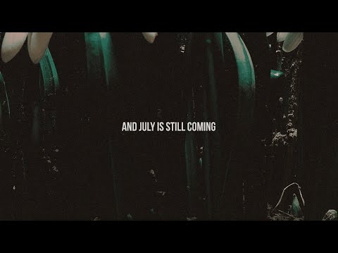 Hozier - July (Official Lyric Video)