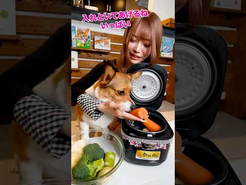 炊飯器ギャルに愛犬のご飯作ってもらったら放送事故起きた！@galgourmet3150 #shorts