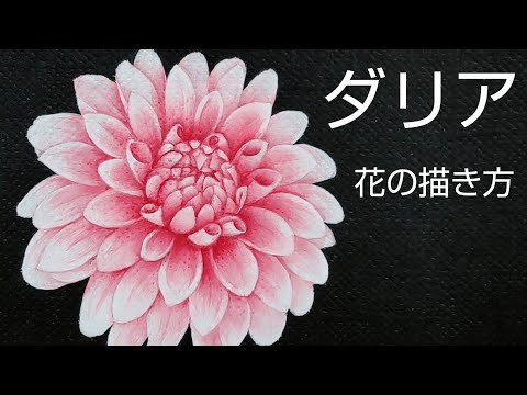 Tole painting How to draw flowers (Dahlia drawing with acrylic paint)