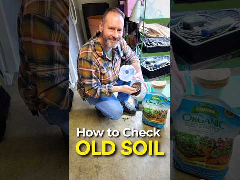 Is Your Seed Starting Soil Still Usable? #shorts #soil #garden