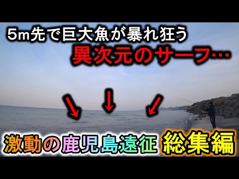 【総集編】砂浜から5m先で80cmオーバーが暴れ回る…鹿児島サーフは異次元でした