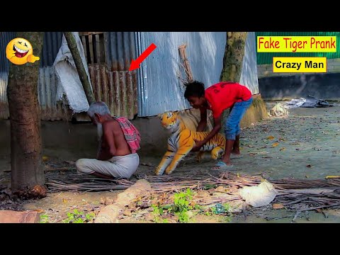 TOP FUNNIEST FAKE TIGER IN BRAZIL 🤓 Part-15 by Furti Fun Tv