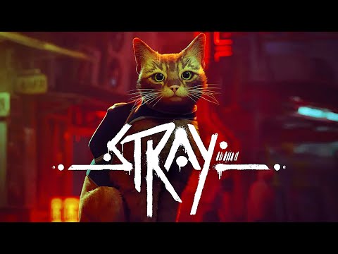 プレイヤーが「 猫になって大冒険する 」ネコ視点の名作ゲーム『 Stray -ストレイ- 』