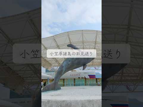 小笠原諸島のお見送りがすごかった🛳️