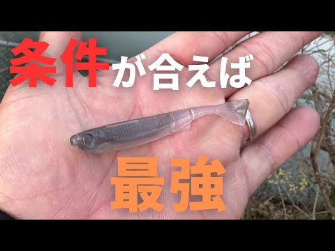 【バス釣り】冬に釣れる日【暖かい雨】に合わせて釣りに行った結果。連発の爆釣に導いたルアーを解説しながら実釣します。【バイブレーション】【ミドスト】【シャッド】【入れ食い上等】