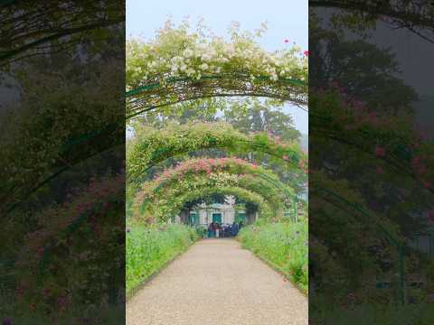 Claude Monet’s beautiful garden and house in France🇫🇷