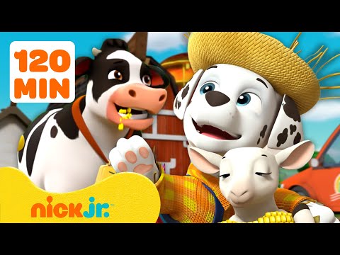 PAW Patrol Pups Save the Farm & More Rescues! #2 🐮 w/ Marshall | 120 Minutes | Nick Jr.