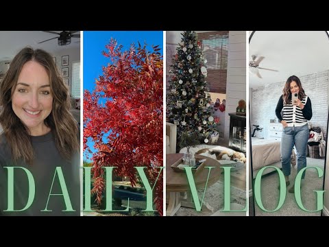 New✨DITL||HOLIDAY PARTY HAUL||MUST SEE MOVIE|||EASY WEEKNIGHT DINNER + more 🎄✨❤️