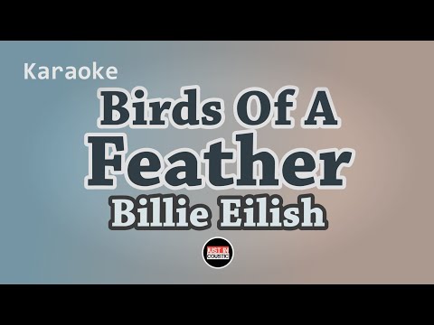 Billie Eilish - Birds Of A Feather (Karaoke with Lyrics)