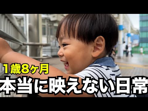 【1歳8ヶ月】本当に映えないいつもの日常【シンママ】