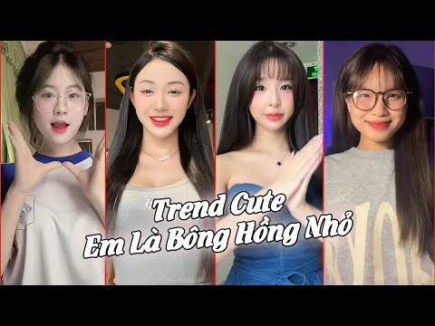 Trang sách hồng nằm mơ màng ngủ... Trend TikTok Em là bông hồng nhỏ #lnh #trending #shorts #xuhuong