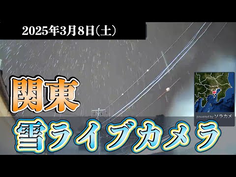 【関東雪 #ライブカメラ 】雪の状況は? 東京・神奈川 ウェザーニュース 2025年3月8日(土)