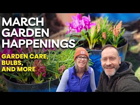 See What's Coming Up RIGHT NOW | March Garden Activity (So Far) #flowers #march #garden